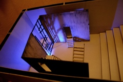 IMG_8174.9jpg