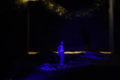 ekthesi-apofoitwn-2019-01