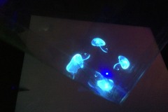 ekthesi-apofoitwn-2019-16