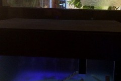 ekthesi-apofoitwn-2019-20