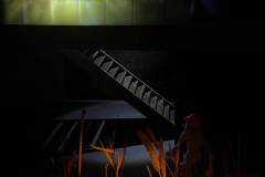 ekthesi-apofoitwn-2025-17