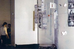 Fwto-gia-Vanasa-029