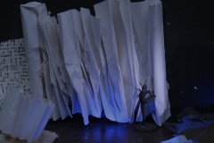 LSA-IMG_9984