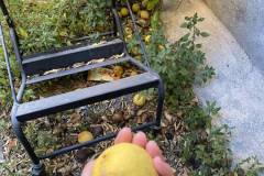 Performing-Space-Nafplio-2025-workshop-led-my-M.-Chaniotaki-with-the-collaboration-of-Eleni-Palogou8_sm