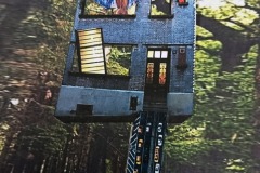 P11-